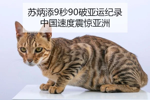 su-bing-tian-miao-po-ya-yun-ji-lu-zhong-guo-su-du-zhen-jing-ya-zhou-3-822.jpg