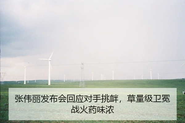 zhang-wei-li-fa-bu-hui-hui-ying-dui-shou-tiao-xin-cao-liang-ji-wei-mian-zhan-huo-yao-wei-nong-2-489.jpg