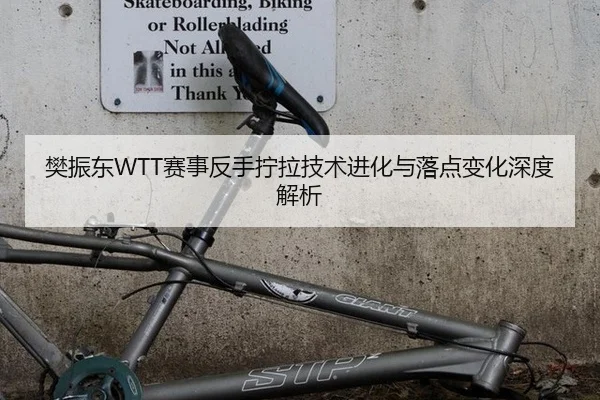 樊振东WTT赛事反手拧拉技术进化与落点变化深度解析