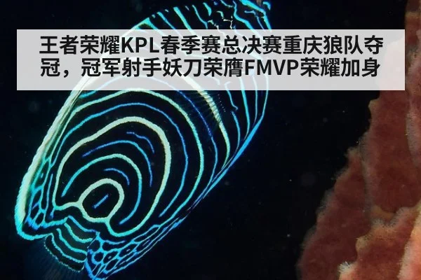 王者荣耀KPL春季赛总决赛重庆狼队夺冠，冠军射手妖刀荣膺FMVP荣耀加身